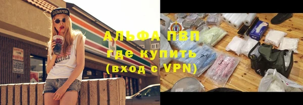 прущая мука Богданович