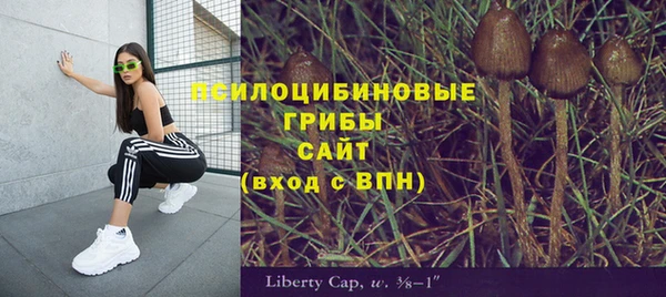 гашишное масло Богородицк